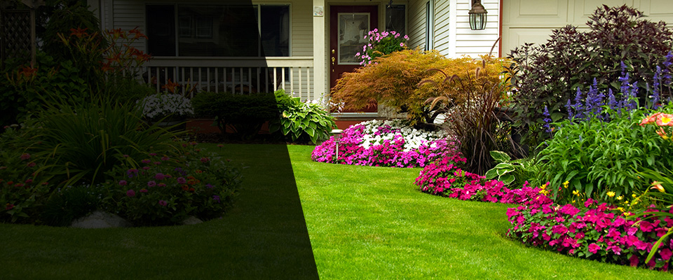 Pitkin Landscapers