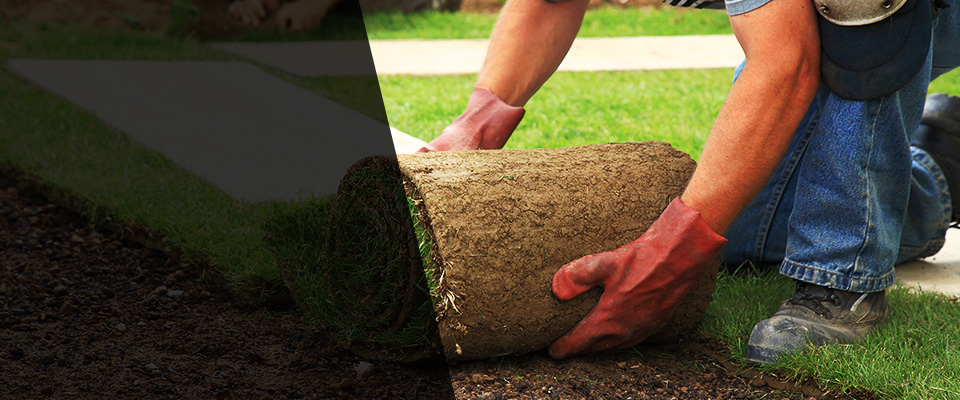 Pitkin Landscapers
